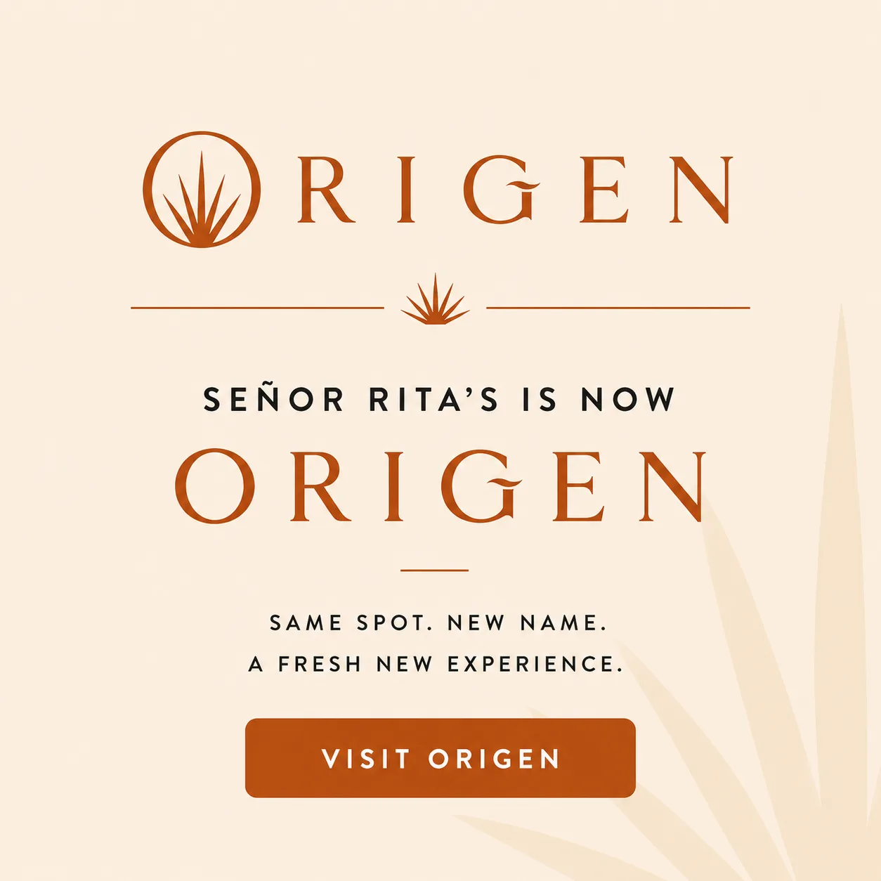 Senor Rita's is now Origen. Visit Now ->
